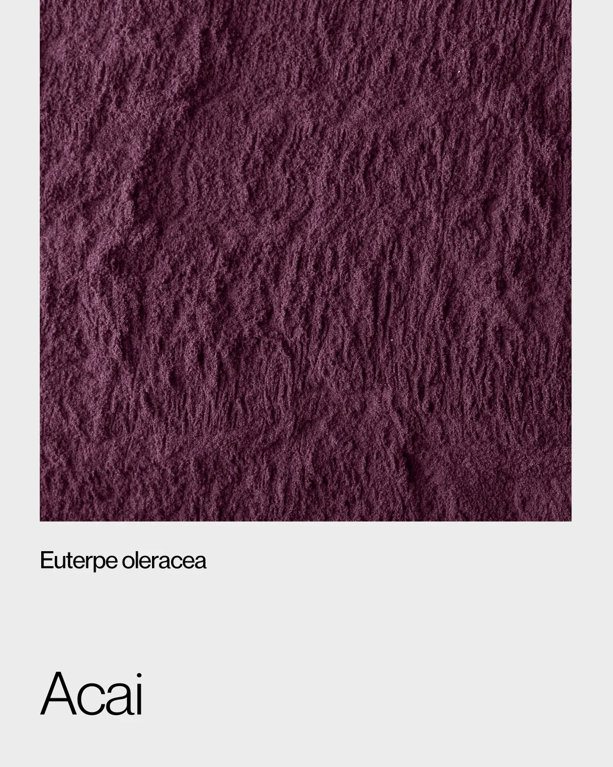 Close-up of rich purple acai powder, highlighting its vibrant color and nutrient-dense properties, known for its antioxidant benefits