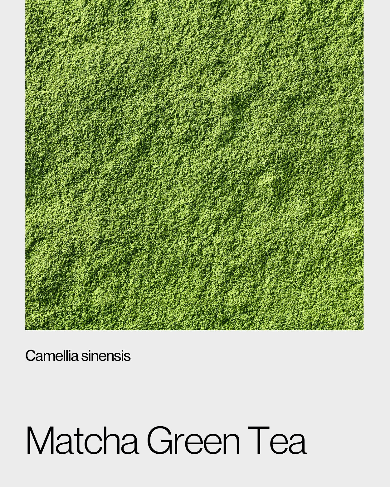 Detailed view of vibrant green matcha powder, showcasing its fine texture and rich, health-boosting antioxidants