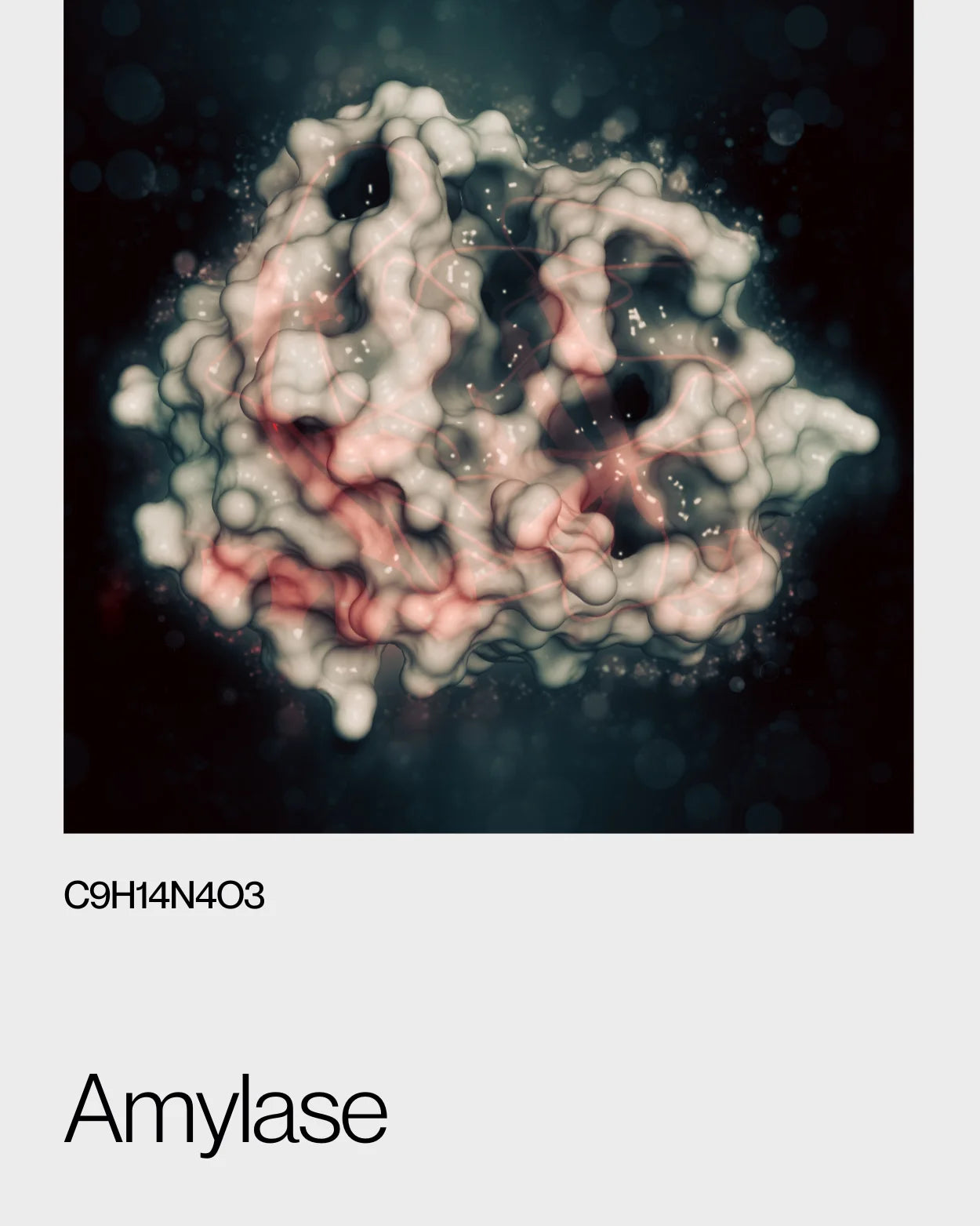 Microscopic representation of the amylase enzyme, highlighting its role in breaking down starches into simpler sugars for digestion