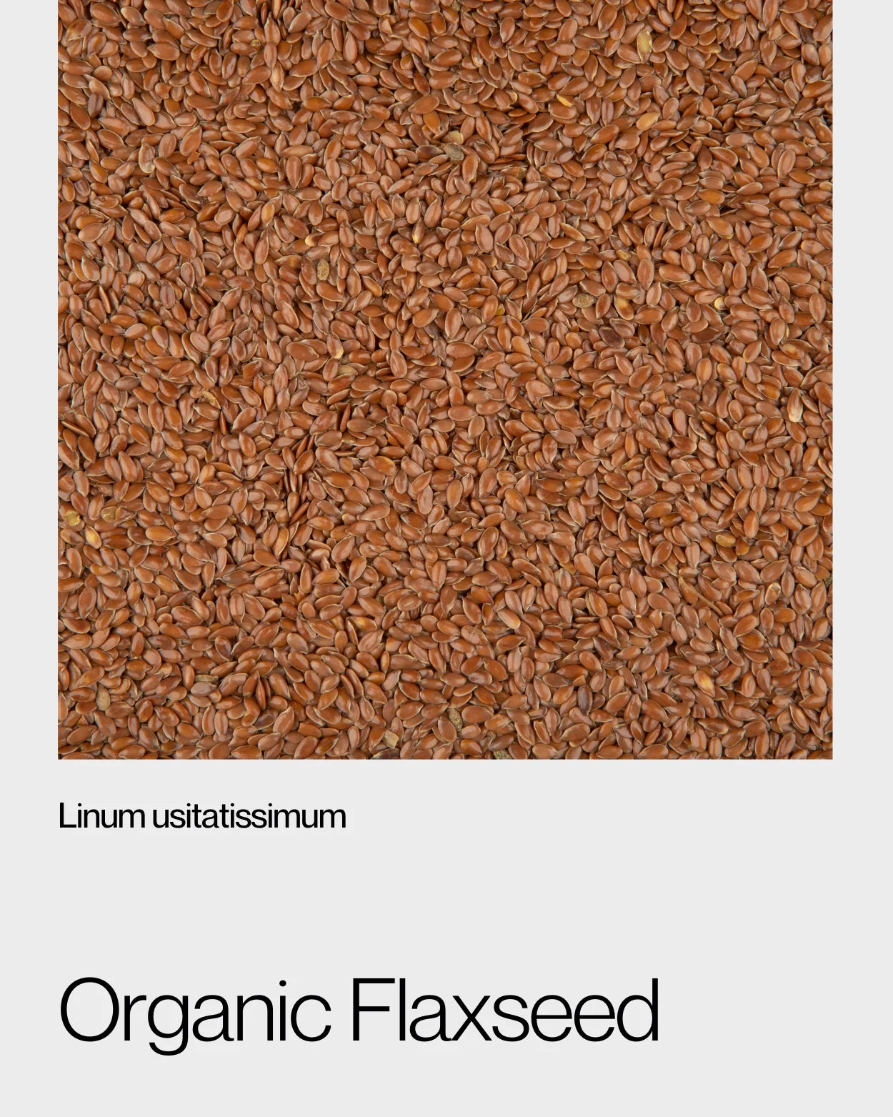 Close-up of whole organic flaxseeds, emphasising their golden brown colour and high content of omega-3 fatty acids and dietary fiber